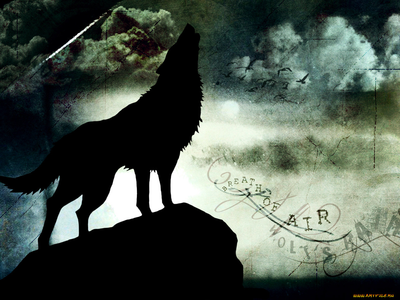 , wolf`s, rain